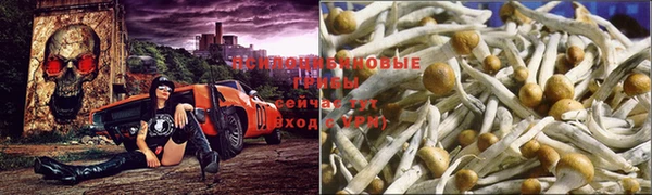 MDMA Premium VHQ Бородино