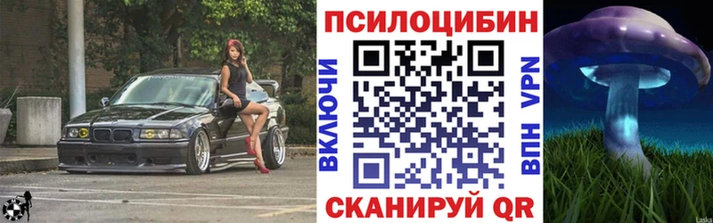 Псилоцибиновые грибы GOLDEN TEACHER  где можно купить   Сретенск 